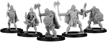 Raabert's Warband, Shieldwall Reiver Unit (5x warriors)