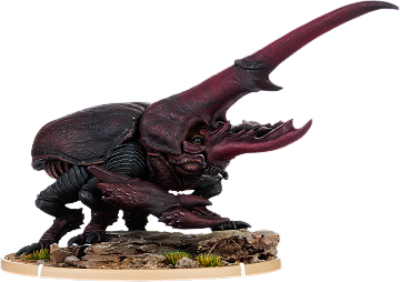 Scethæn, Crag Beetle